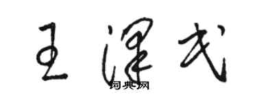 駱恆光王澤民草書個性簽名怎么寫