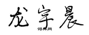 曾慶福龍宇晨行書個性簽名怎么寫