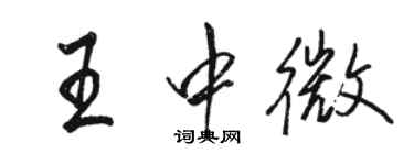 駱恆光王中微行書個性簽名怎么寫