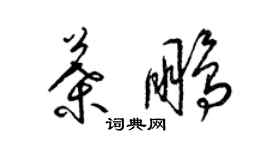 梁錦英葉鵬草書個性簽名怎么寫