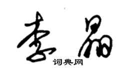 朱錫榮李晶草書個性簽名怎么寫