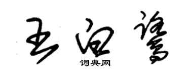 朱錫榮王白鷺草書個性簽名怎么寫