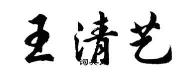 胡問遂王清藝行書個性簽名怎么寫