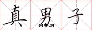 田英章真男子楷書怎么寫