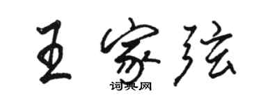 駱恆光王家弦行書個性簽名怎么寫