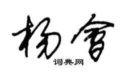 朱錫榮楊會草書個性簽名怎么寫