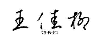 梁錦英王佳柳草書個性簽名怎么寫