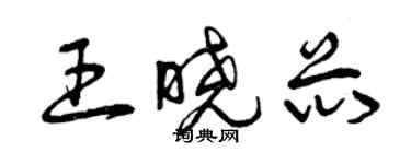 曾慶福王曉芯草書個性簽名怎么寫