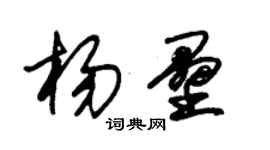 朱錫榮楊壘草書個性簽名怎么寫