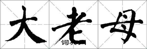 翁闓運大老母楷書怎么寫