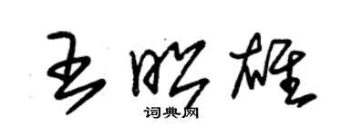 朱錫榮王昭雄草書個性簽名怎么寫