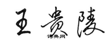 駱恆光王貴陵行書個性簽名怎么寫