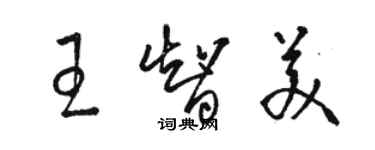 駱恆光王智美草書個性簽名怎么寫