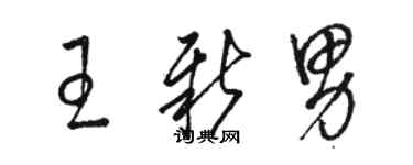 駱恆光王新男草書個性簽名怎么寫