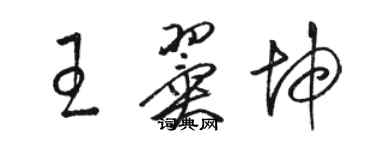 駱恆光王翼坤草書個性簽名怎么寫