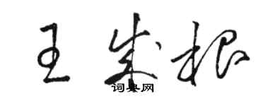 駱恆光王成根草書個性簽名怎么寫