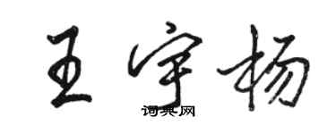 駱恆光王宇楊行書個性簽名怎么寫
