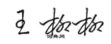 駱恆光王柳柳草書個性簽名怎么寫