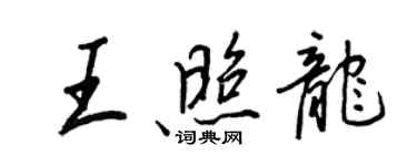 王正良王照龍行書個性簽名怎么寫