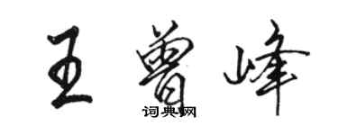 駱恆光王曾峰行書個性簽名怎么寫