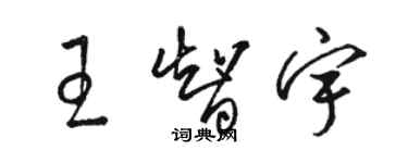 駱恆光王智宇草書個性簽名怎么寫