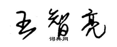 朱錫榮王智亮草書個性簽名怎么寫