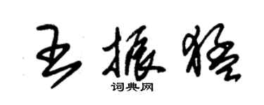 朱錫榮王振猛草書個性簽名怎么寫