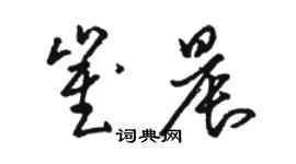 駱恆光崔晨草書個性簽名怎么寫