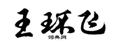 胡問遂王環飛行書個性簽名怎么寫