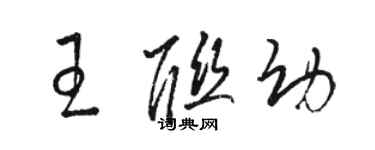 駱恆光王聯幼草書個性簽名怎么寫
