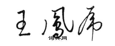 駱恆光王鳳虎草書個性簽名怎么寫