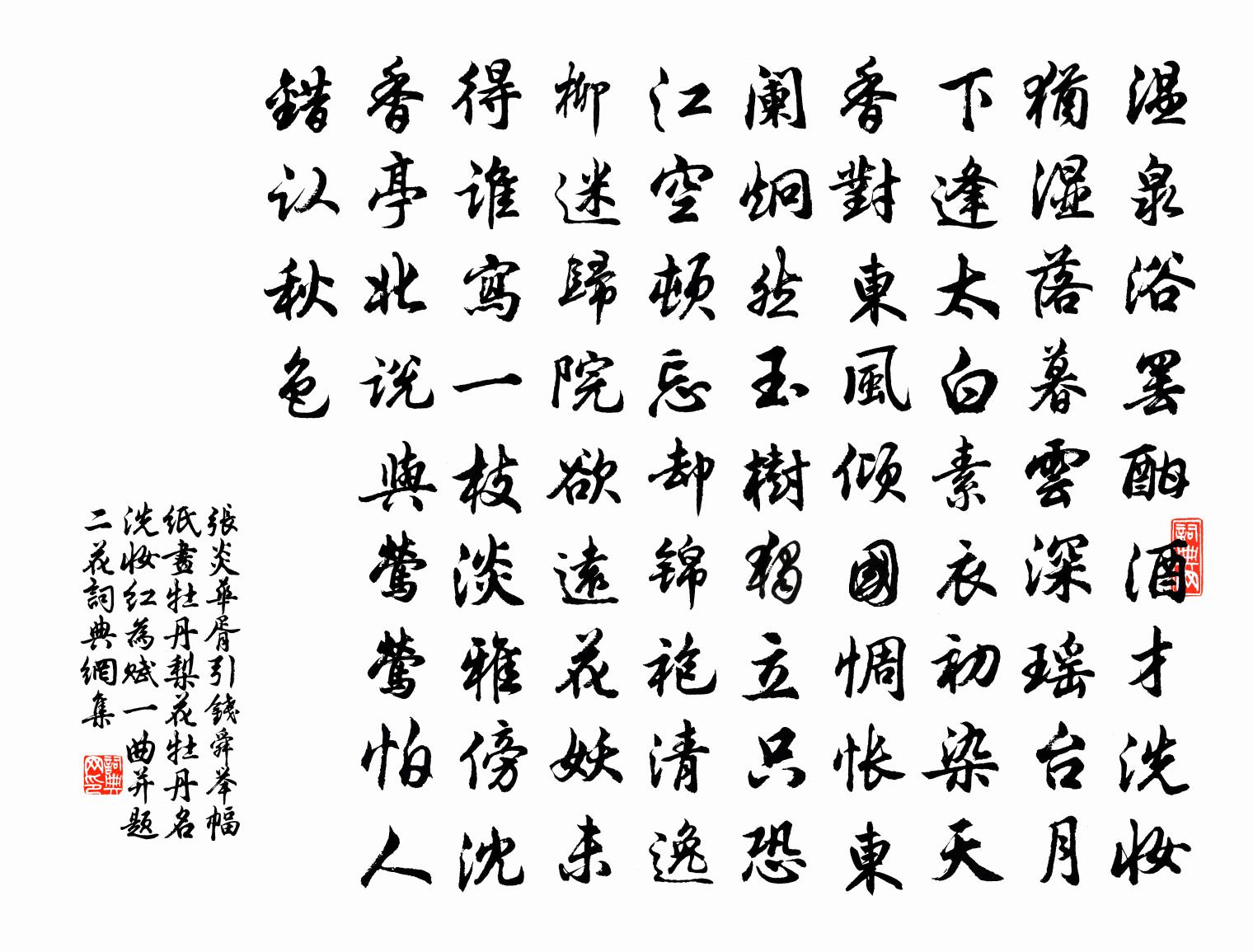 張炎華胥引(錢舜舉幅紙畫牡丹、梨花。牡丹名洗妝紅,為賦一曲,並題二花)書法作品欣賞