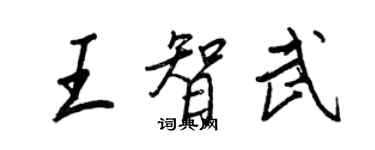 王正良王智武行書個性簽名怎么寫