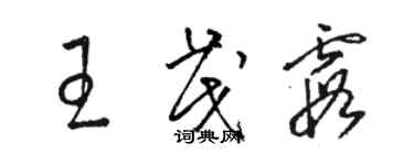 駱恆光王茂霞草書個性簽名怎么寫