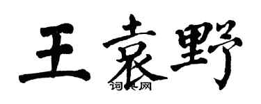翁闓運王袁野楷書個性簽名怎么寫
