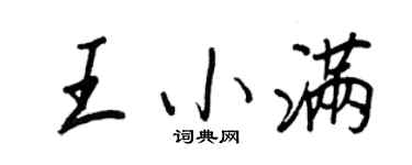 王正良王小滿行書個性簽名怎么寫