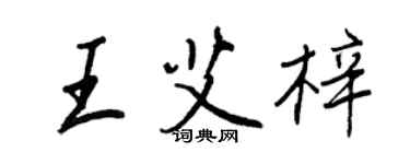 王正良王艾梓行書個性簽名怎么寫