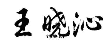 胡問遂王曉沁行書個性簽名怎么寫