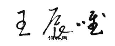 駱恆光王辰唯草書個性簽名怎么寫