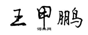 曾慶福王甲鵬行書個性簽名怎么寫