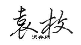 駱恆光袁枚行書個性簽名怎么寫