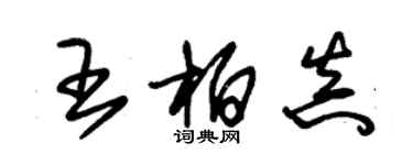 朱錫榮王柏真草書個性簽名怎么寫