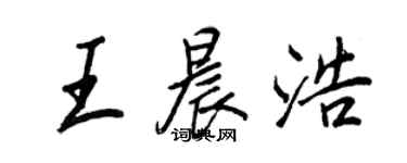 王正良王晨浩行書個性簽名怎么寫