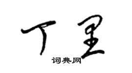 梁錦英丁里草書個性簽名怎么寫