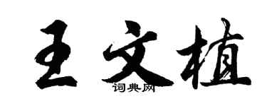 胡問遂王文植行書個性簽名怎么寫