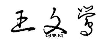 曾慶福王文鶯草書個性簽名怎么寫