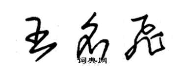 朱錫榮王名飛草書個性簽名怎么寫