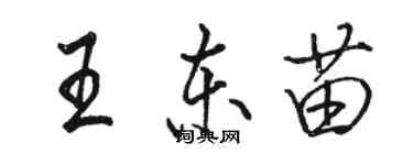 駱恆光王東苗行書個性簽名怎么寫