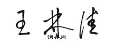 駱恆光王林佳草書個性簽名怎么寫