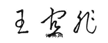 駱恆光王宜非草書個性簽名怎么寫